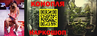 ГАЛЛЮЦИНОГЕННЫЕ ГРИБЫ Усть-Джегута
