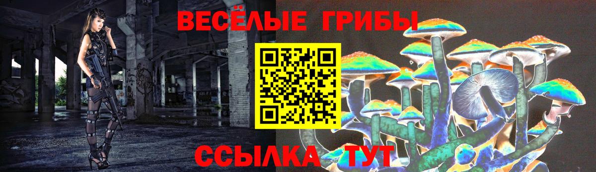 Белебей  Псилоцибиновые грибы Cubensis  Галлюциногенные грибы Cubensis  Вход с VPN 